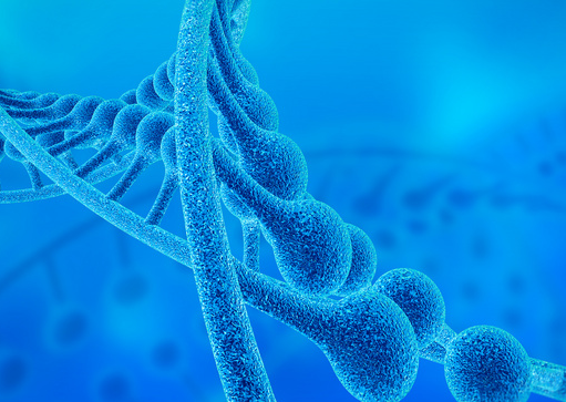 启辰生靶向Survivin DC细胞注射液临床试验获受理