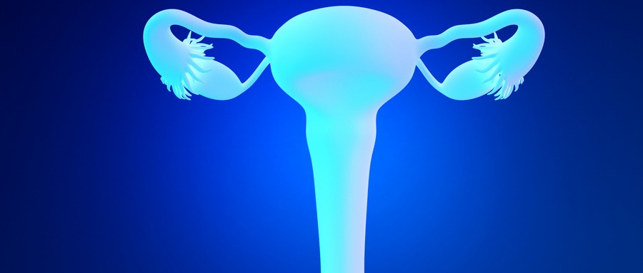 首个卵巢癌维持治疗中国人群生存获益数据发布