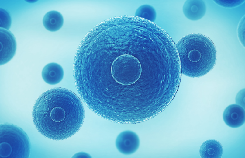 全球首个通用型T细胞免疫疗法在欧盟获批上市