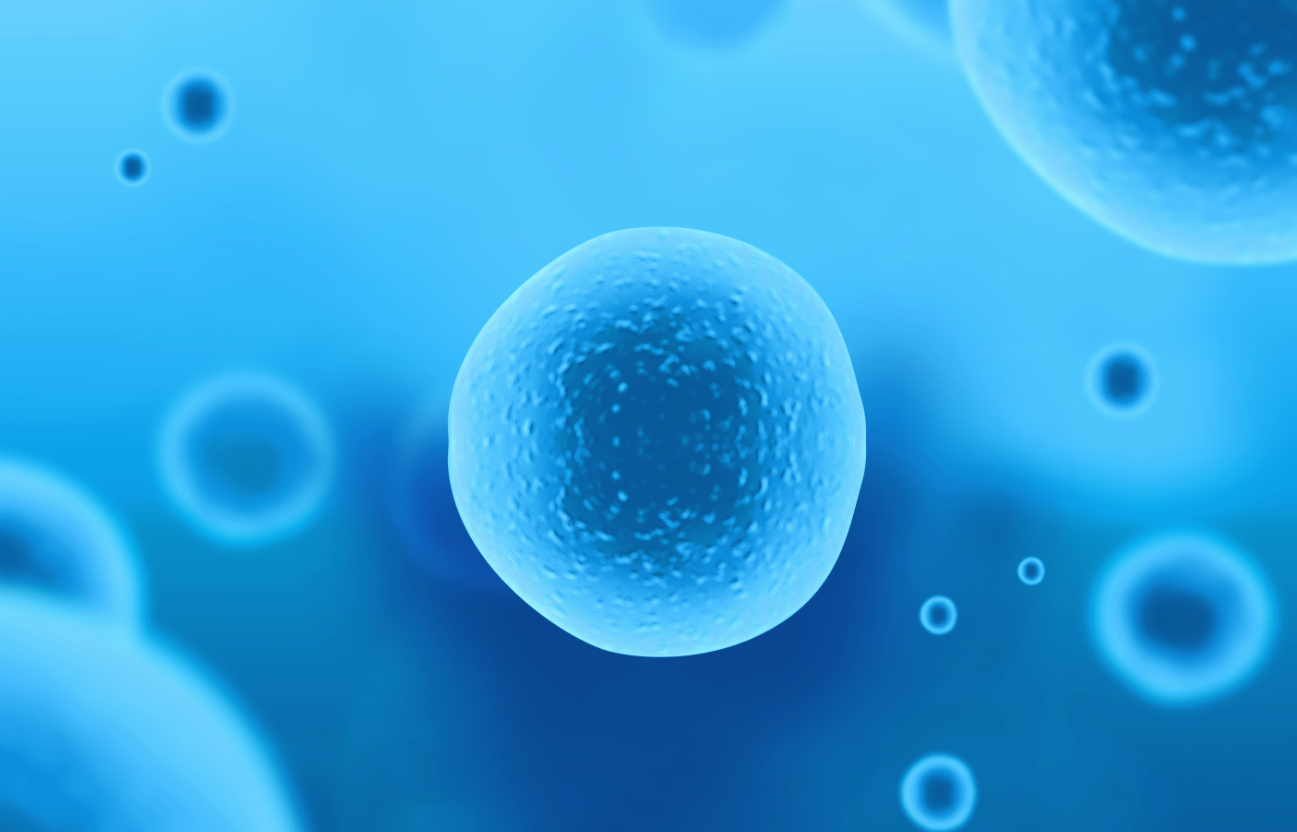 深圳出台全国首部细胞和基因产业专项立法，细化拓展性临床试验用药制度