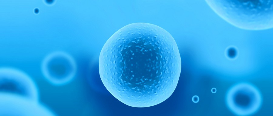 基石药业泰吉华（阿伐替尼片）治疗惰性系统性肥大细胞增多症的PIONEER注册性研究数据在2023 AAAAI年会公布