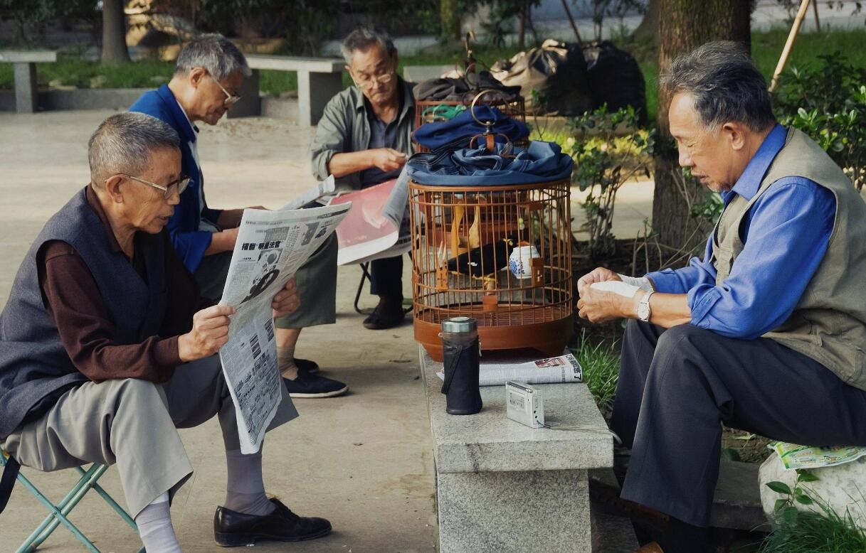 老龄化下，国家药监局试点药品说明书适老化及无障碍改革