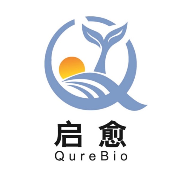 启愈生物完成亿元C1轮融资，加速核心管线临床进展与全球化布局