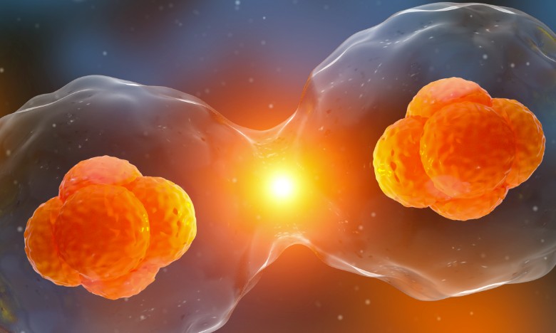 一款双靶点CAR-T获批临床试验