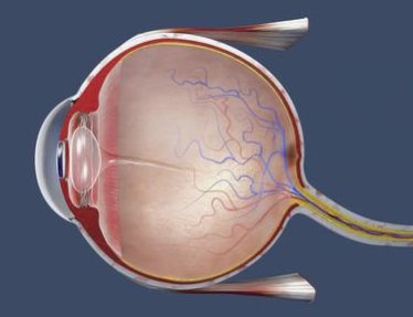 明澈科技完成数千万 A 轮融资,加码眼科微创治疗器械研发