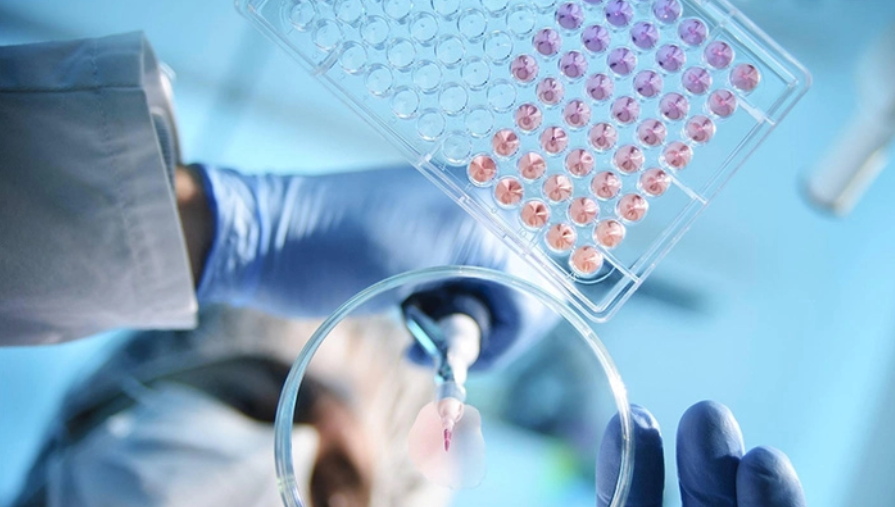 修实生物完成近亿元 A 轮融资，深耕多肽生物合成加速全球化