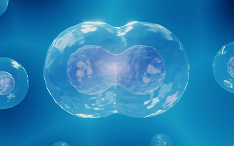 唯可生物完成近亿元 A 轮融资，加速 CGT 安全评价全球化布局