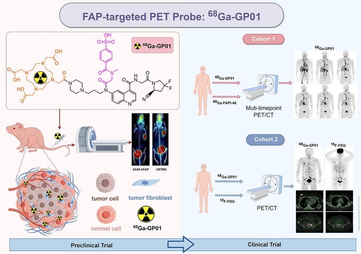 远大医药自研创新FAP核药美国临床获批，打造中国核药出海新范式