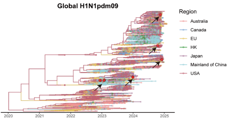 病毒“突变”不等于更强生存力——华山张文宏教授团队发现：敏感性下降，往往伴随适应性下降