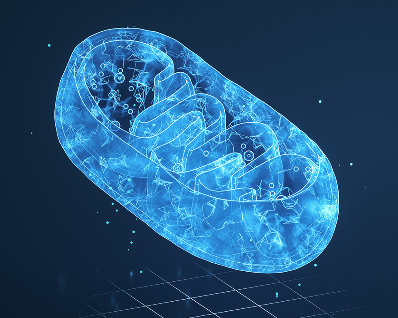 合成生物创新企业康诺生物递交港交所上市申请