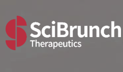 思璞锐SciBrunch完成超3500万美元Pre-A轮融资，一年内两轮合计募资6500万美元