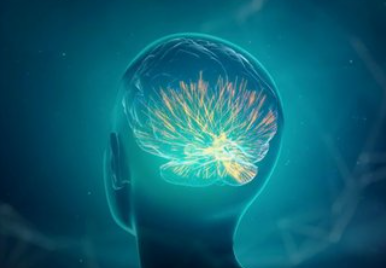 赶早赴约，忆路守护 - 礼来携手清华大学启动阿尔茨海默病科普创意大赛