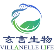 玄言生物完成数千万元Pre-A轮融资，加速AI驱动精准诊疗产品落地