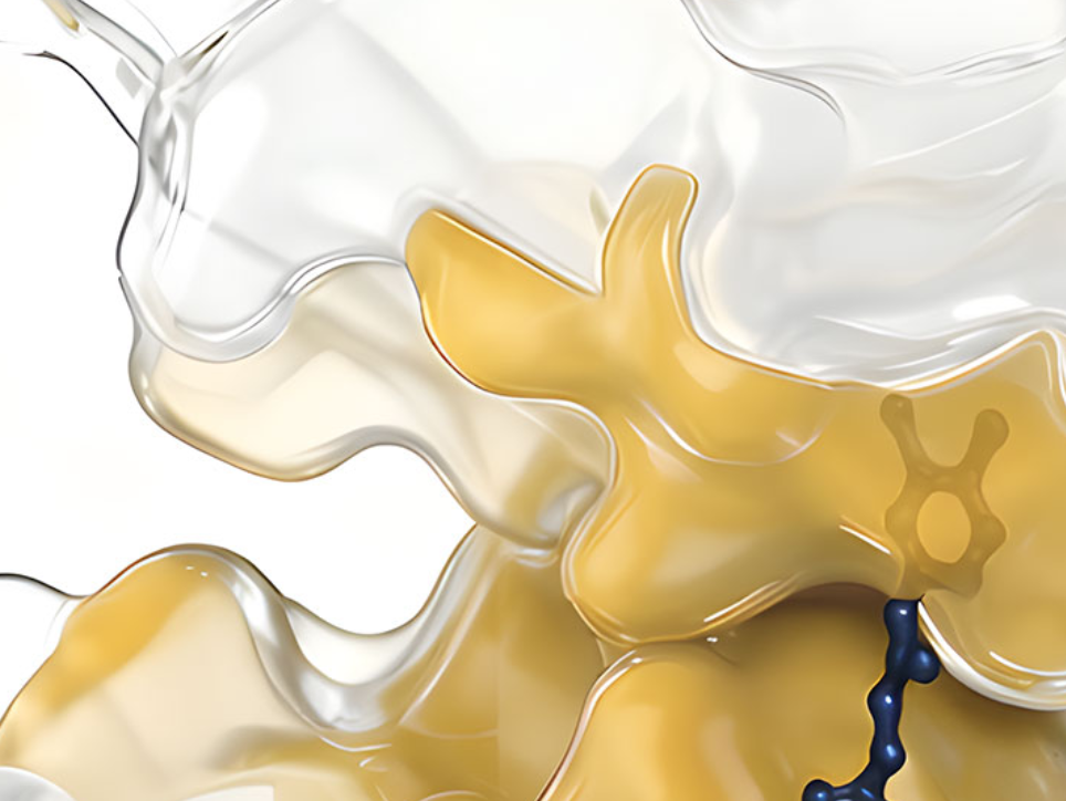 打破蛋白互作，璞诺智药完成近亿元天使轮融资