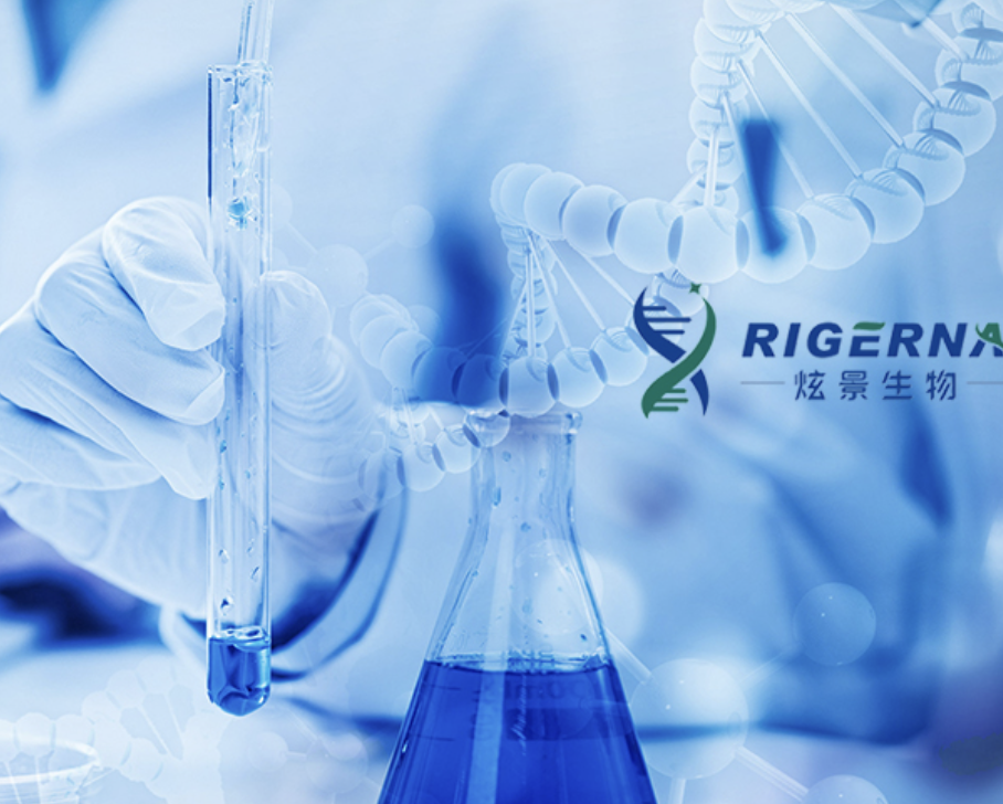 深耕肾病与代谢领域，炫景生物完成超2亿元Pre-A轮融资