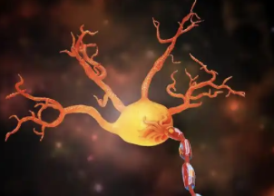 远葆医疗完成数千万元天使轮融资,布局神经康复与脑机接口领域