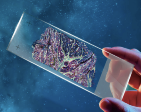 茵菲多组学完成5100万元Pre-A轮融资，构建“硬件+AI+试剂”一体化技术壁垒