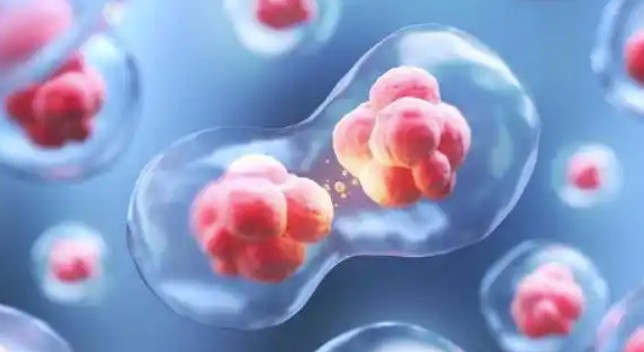 上海市药监局核发上海首张干细胞《药品生产许可证》