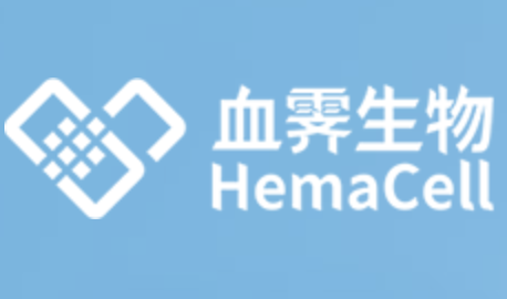血霁生物完成 B 轮二期过亿融资,加速全球首款巨核细胞药物临床开发