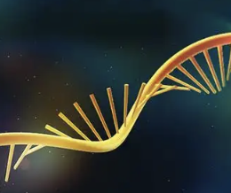 全球首款 mRNA 季节性流感疫苗诞生！Moderna mFLUSIVA 获 FDA 批准