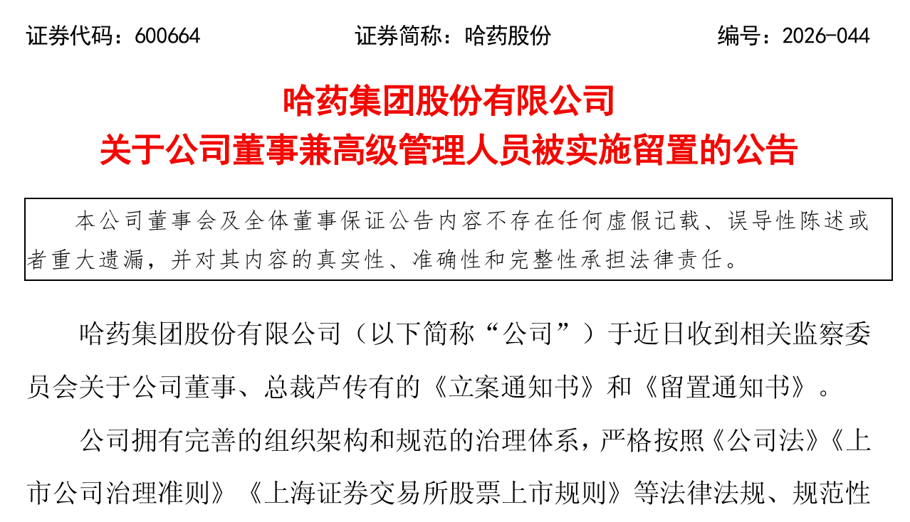 哈药集团董事、总裁芦传有被留置