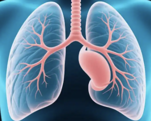 ESMO 2026｜应对MET耐药，一项全球 III 期EGFR突变肺癌临床研究结果公布